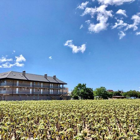 Family Hotel Грибовка Экстерьер фото